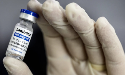 Cientista brasileira cria vacina para tetraplegia